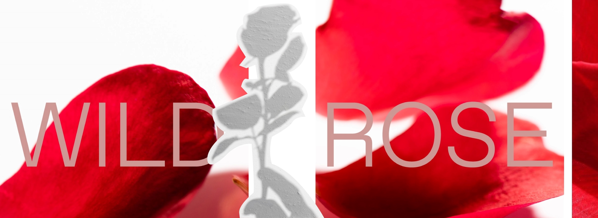 Korres - Άγριο Τριαντάφυλλο