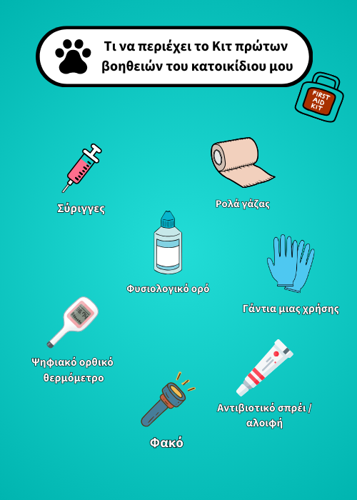 κιτ πρώτων βοηθειών