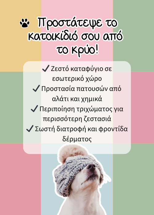 κατοικιδια κρυο