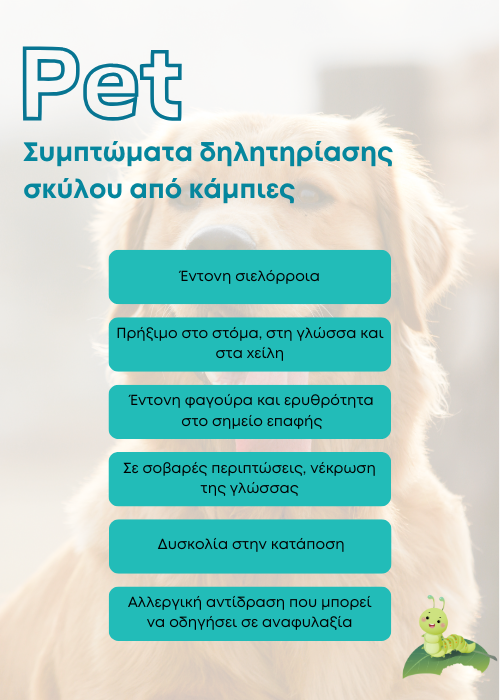 καμπια