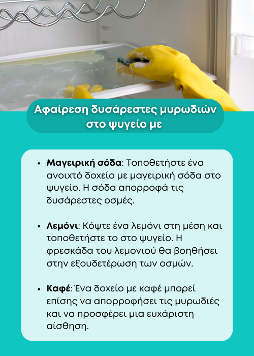 μυρωδια στο ψυγειο