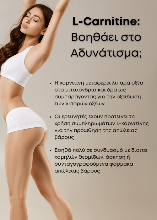 καρνιτινη