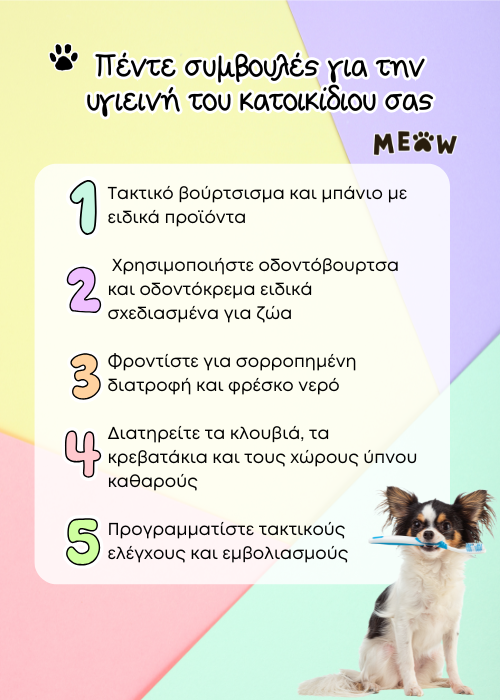 pet care