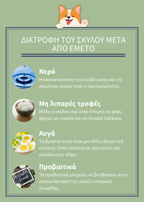 σκυλοσ εμετο