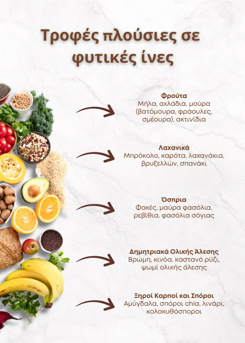 φυτικεσ ινεσ