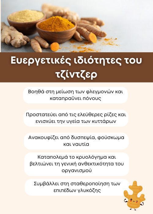 τζιντζερ ιδιοτητες