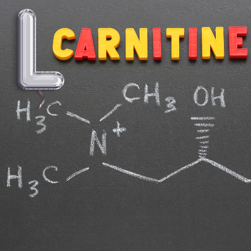 l carnitine