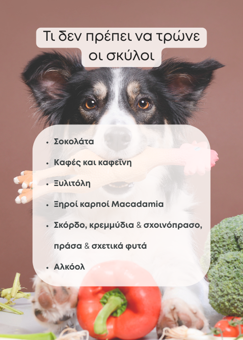 σκυλια