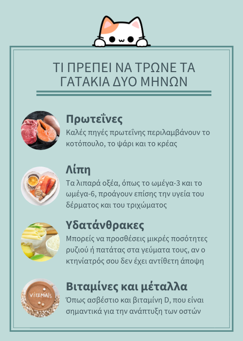 γατακι 2 μηνων διατροφη