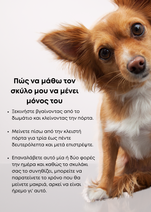 αγχος αποχωρισμου