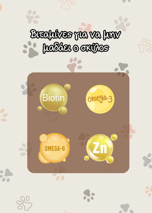 τροφη σκυλου