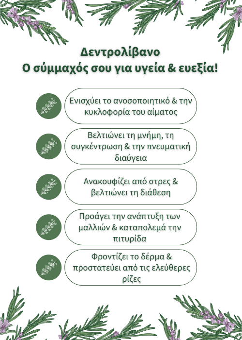 δενδρολιβανο