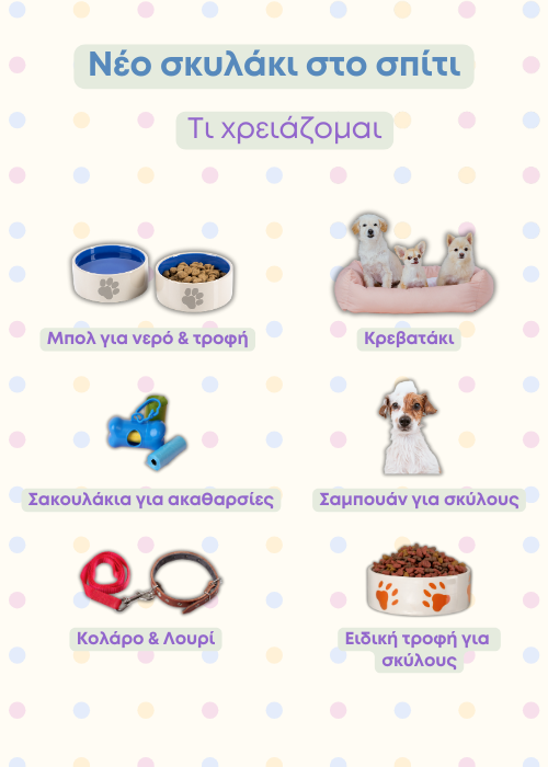 σκυλι