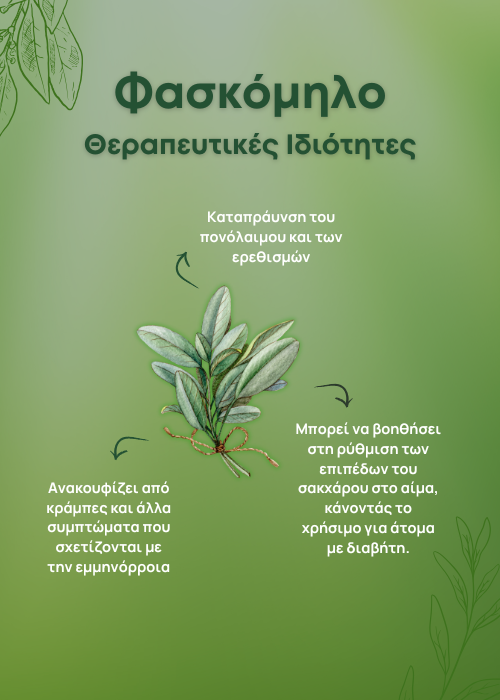 φασκομηλο ιδιοτητεσ