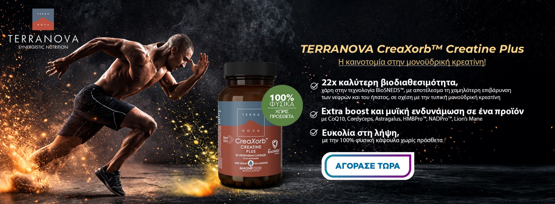 Terranova Creatine