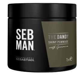 Sebastian Professional Seb Man The Dandy Πομάδα Μαλλιών για Ελαφρύ Κράτημα 75ml