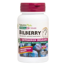 NATURES PLUS Herbal Actives Bilberry 100 mg Extended Release Συμπλήρωμα με Μύρτιλλο Αντιοξειδωτικής Δράσης 30 Ταμπλέτες