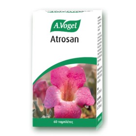 A.Vogel Atrosan Λειτουργία Αρθρώσεων & Μυοσκελετικού Συστήματος 60 Ταμπλέτες A.Vogel Atrosan Λειτουργία Αρθρώσεων & Μυοσκελετικού Συστήματος 60 Ταμπλέτες