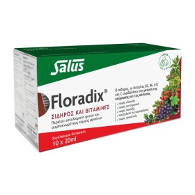 Power Health Floradix Γυναικείο Τονωτικό με Ειδικά Εκχυλίσματα Φρούτων & Σίδηρο & Βιταμίνες 10x20ml Power Health Floradix Γυναικείο Τονωτικό με Ειδικά Εκχυλίσματα Φρούτων & Σίδηρο & Βιταμίνες 10x20ml