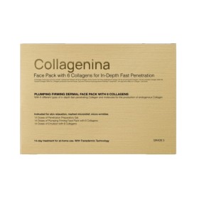 Collagenina Promo Grade 3 Σετ Αγωγής Προσώπου για Άμεση Σύσφιξη & Ελαστικότητα με 6 Κολλαγόνα Collagenina Promo Grade 3 Σετ Αγωγής Προσώπου για Άμεση Σύσφιξη & Ελαστικότητα με 6 Κολλαγόνα