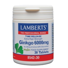Lamberts Ginkgo Biloba 6000mg Συμπλήρωμα για την Μνήμη 30 Ταμπλέτες Lamberts Ginkgo Biloba 6000mg Συμπλήρωμα για την Μνήμη 30 Ταμπλέτες