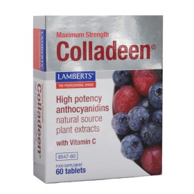 Lamberts Colladeen Maximum Strength 160mg Συμπλήρωμα Αποκατάστασης Κολλαγόνου 60 Ταμπλέτες Lamberts Colladeen Maximum Strength 160mg Συμπλήρωμα Αποκατάστασης Κολλαγόνου 60 Ταμπλέτες