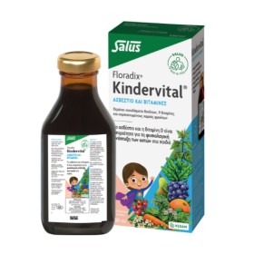 Power Health Floradix Kindervital Πολιβιταμινούχο Σιρόπι για Παιδιά 250ml Power Health Floradix Kindervital Πολιβιταμινούχο Σιρόπι για Παιδιά 250ml