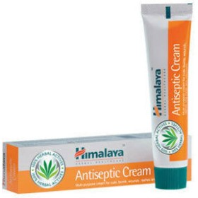 Himalaya Wellness Antiseptic Cream Αντισηπτική & Επουλωτική Κρέμα 75g