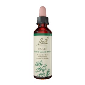 Power Health Bach Holly No 15 20ml