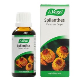 A.Vogel Spilanthes Drops Φυτικό Ενισχυτικό για την Καταπολέμηση Μυκήτων σε Βάμμα Από Φρέσκο Σπιλάνθες 50ml