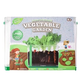 Grow & Decorate Vegetable Garden με Καρότο Ραπανάκι Σπανάκι 1 Τεμάχιο