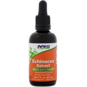 NOW Echinacea Extract Liquid Immune System Support Εχινάκεια σε Υγρή Μορφή για Τόνωση του Ανοσοποιητικού Συστήματος 59ml
