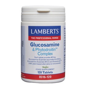 Lamberts Glucosamine & Phytodroitin Complex Συμπλήρωμα για την Υγεία των Αρθρώσεων 120 Ταμπλέτες Lamberts Glucosamine & Phytodroitin Complex Συμπλήρωμα για την Υγεία των Αρθρώσεων 120 Ταμπλέτες