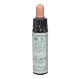 Ainsworths Dr.bach Mustard Flower Remedy 10ml Ainsworths Dr.bach Mustard Flower Remedy 10ml