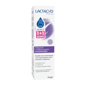 Lactacyd Promo Pharma Soothing Wash Καταπραϋντικό Υγρό Καθαρισμού για την Ευαίσθητη Περιοχή 2x250ml Lactacyd Promo Pharma Soothing Wash Καταπραϋντικό Υγρό Καθαρισμού για την Ευαίσθητη Περιοχή 2x250ml