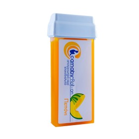 Carnaby Roll-On Αποτριχωτικό Κερί Ελαιοδιαλυτό Πεπόνι 100ml Carnaby Roll-On Αποτριχωτικό Κερί Ελαιοδιαλυτό Πεπόνι 100ml