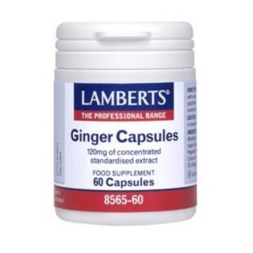 LAMBERTS Ginger Supplement with Ginger Extract 120mg 60 Capsules