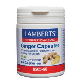 Lamberts Ginger Συμπλήρωμα με Εκχύλισμα Τζίντζερ 120mg 60 Κάψουλες Lamberts Ginger Συμπλήρωμα με Εκχύλισμα Τζίντζερ 120mg 60 Κάψουλες