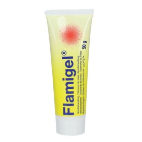 Flamigel Υδροενεργό Επίθεμα σε Μορφή Gel για την Αντιμετώπιση Εγκαυμάτων & Μικρών Πληγών 50g Flamigel Υδροενεργό Επίθεμα σε Μορφή Gel για την Αντιμετώπιση Εγκαυμάτων & Μικρών Πληγών 50g