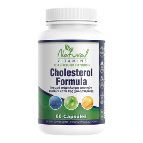Natural Vitamins Cholesterol Formula 60 Κάψουλες Natural Vitamins Cholesterol Formula 60 Κάψουλες
