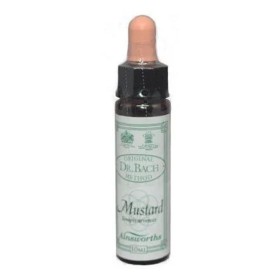 AINSWORTHS Dr. Bach Mustard Flower Remedy 10ml