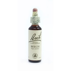Power Health Bach Beech No 3 20ml