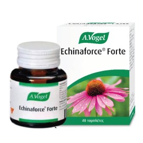 A.Vogel Echinaforce Forte 1140mg για το Ανοσοποιητικό 40 Ταμπλέτες A.Vogel Echinaforce Forte 1140mg για το Ανοσοποιητικό 40 Ταμπλέτες