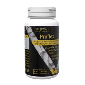 Vitamain Proflex 500mg Συμπλήρωμα για την Υγεία Αρθρώσεων & Οστών 60 Ταμπλέτες Vitamain Proflex 500mg Συμπλήρωμα για την Υγεία Αρθρώσεων & Οστών 60 Ταμπλέτες