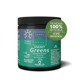 Terranova Green Child Sneaky Greens Shake 180g