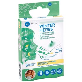 MEDISEI Winter Herbs Scented Patch with Eucalyptus & Mint 6 Pieces