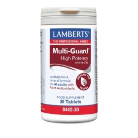 Lamberts Multi Guard One Daily Πολυβιταμινούχος Φόρμουλα Υψηλής Δραστικότητας 30 Ταμπλέτες Lamberts Multi Guard One Daily Πολυβιταμινούχος Φόρμουλα Υψηλής Δραστικότητας 30 Ταμπλέτες