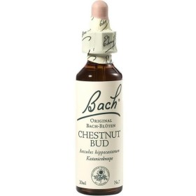 POWER HEALTH Bach Chestnut Bud No 7 20ml