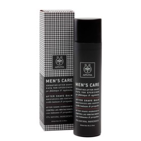 Apivita Mens Care Ενυδατικό After Shave 100ml Apivita Mens Care Ενυδατικό After Shave 100ml
