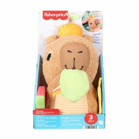 Fisher Price Μαλακό Καπιμπάρα Δραστηριοτήτων με Ήχους από 3m+ Fisher Price Μαλακό Καπιμπάρα Δραστηριοτήτων με Ήχους από 3m+